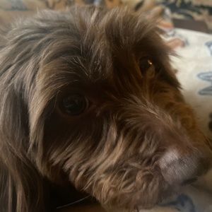 Meet your Posher, Breanna